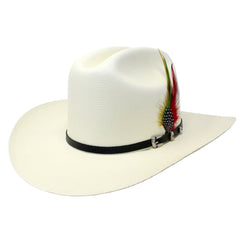White cowboy hat with a black band and colorful feather on a white background