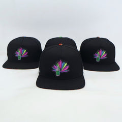 VBR Chihuahua Sotol black snapback cap front view with colorful sotol bottle and agave patch