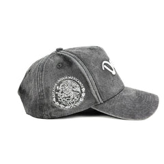 Gray cap with a logo on a white background